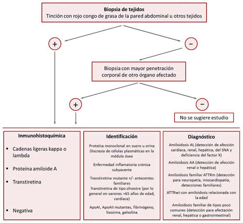 Figura 2