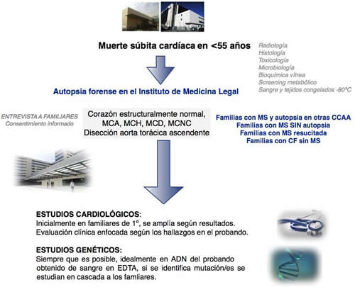 Figura 4