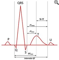 Figura 1