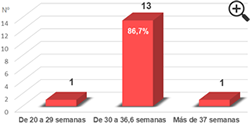 Figura 1