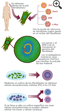 Figura2