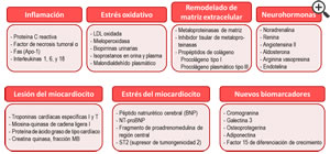 Figura 2