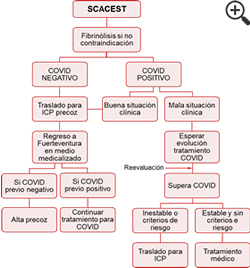 Figura 1