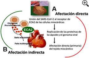 Figura 3