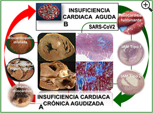 Figura 5