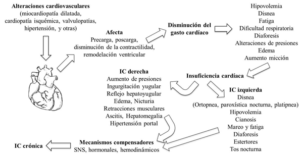 Figura 1