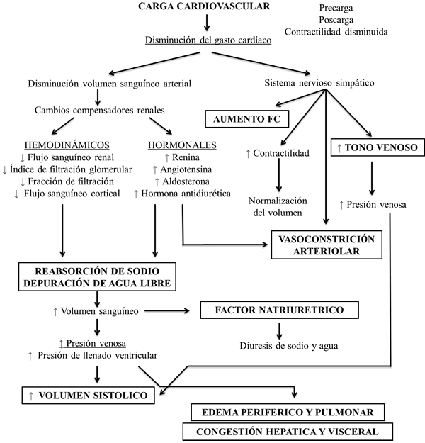 Figura 3