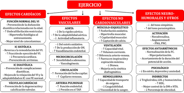 Figura 4