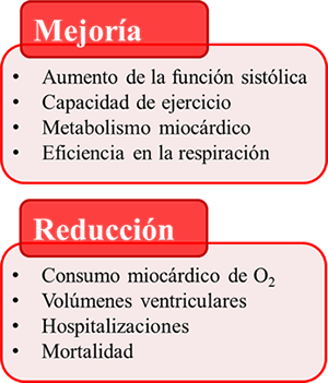 Figura 5